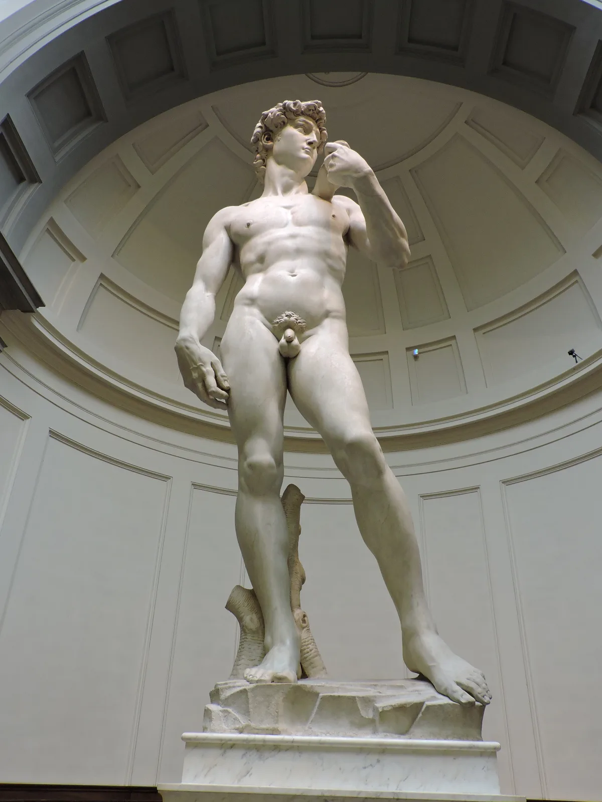 Michelangelo's David under the skylit dome of the Tribune at the Galleria dell'Accademia