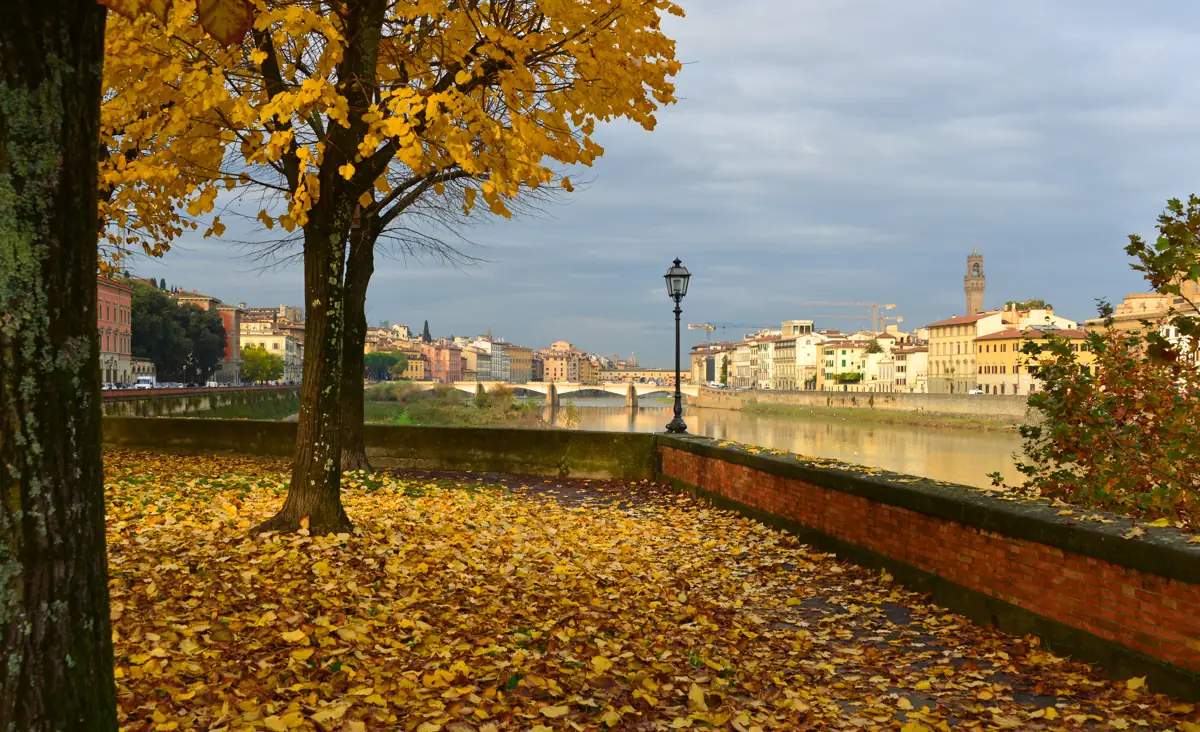 Fallen yellow leaves along a quiet Arno embankment in November, Ponte Vecchio and Palazzo Vecchio's tower in the distance